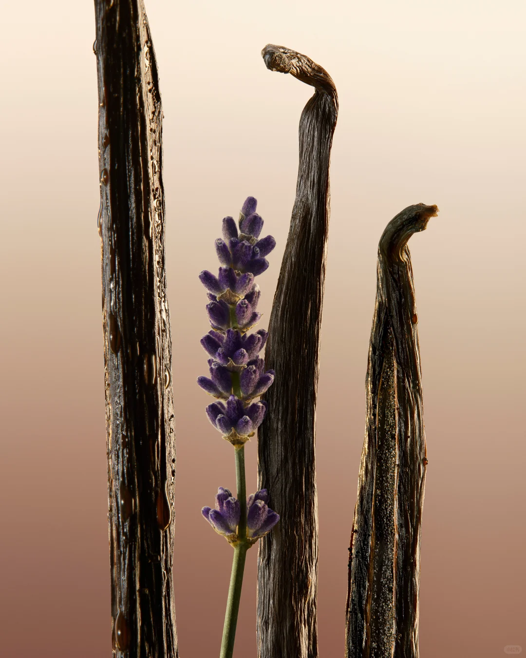 与汤唯邂逅女神香水¹