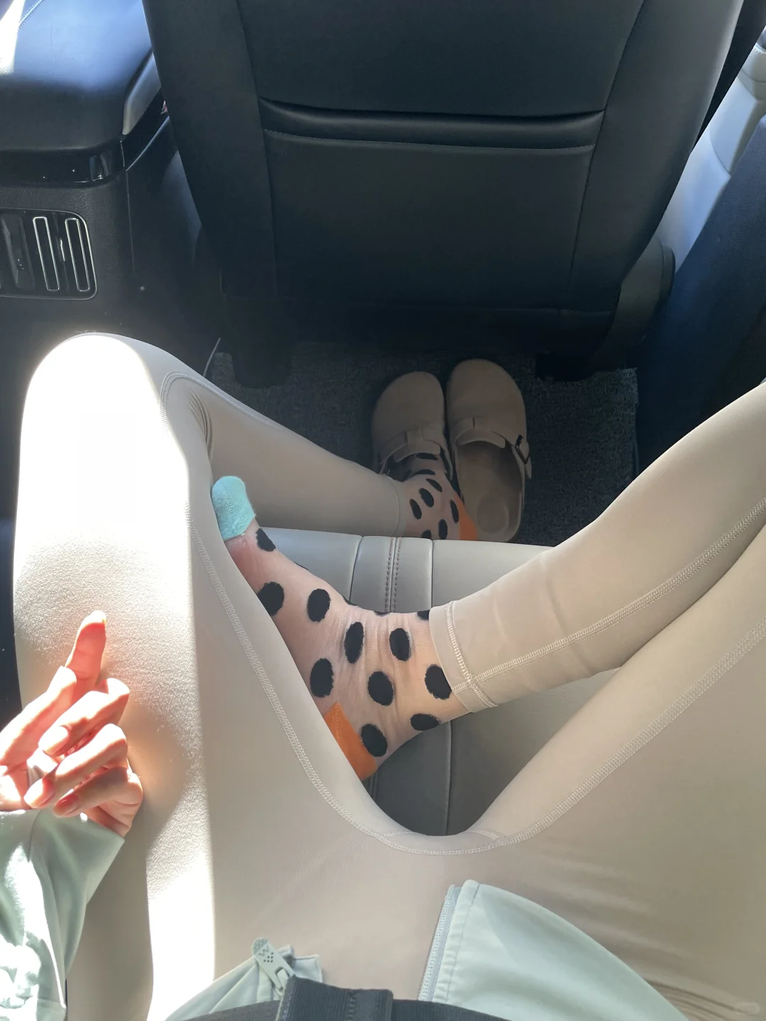 🐶可爱小狗🐶