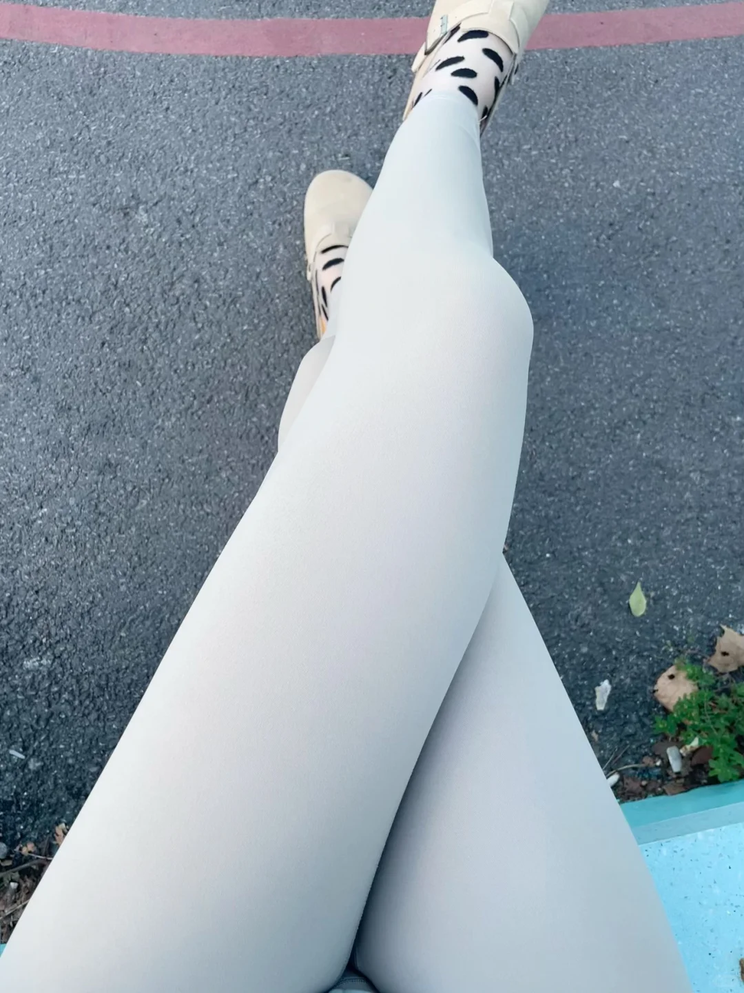 🐶可爱小狗🐶