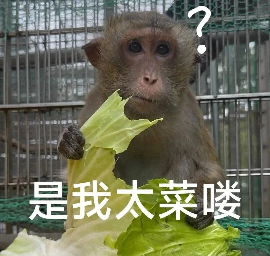 实用表情包合集