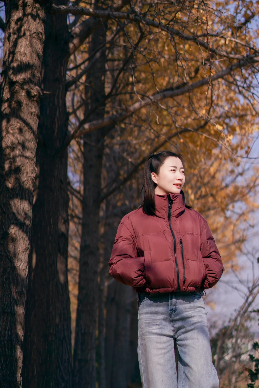 初冬的银杏格外迷人，你拍了吗？