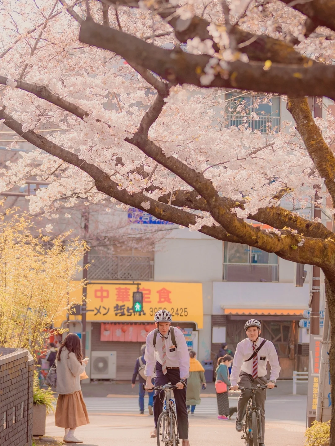 壁纸｜日系唯美静好手机壁纸