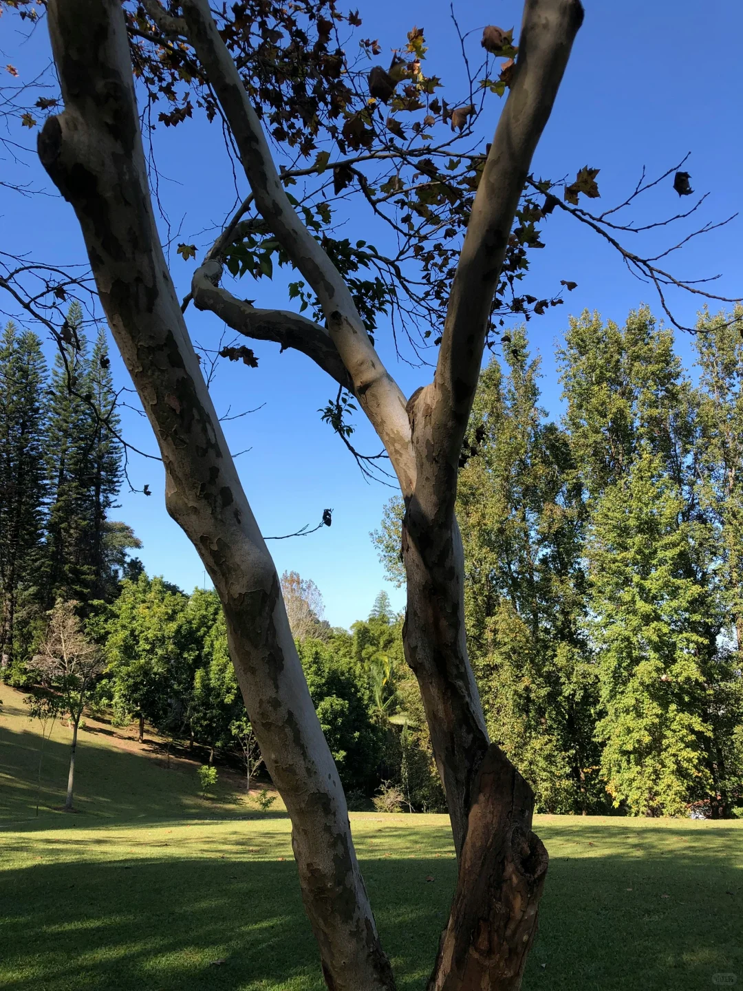 你有一种救赎感