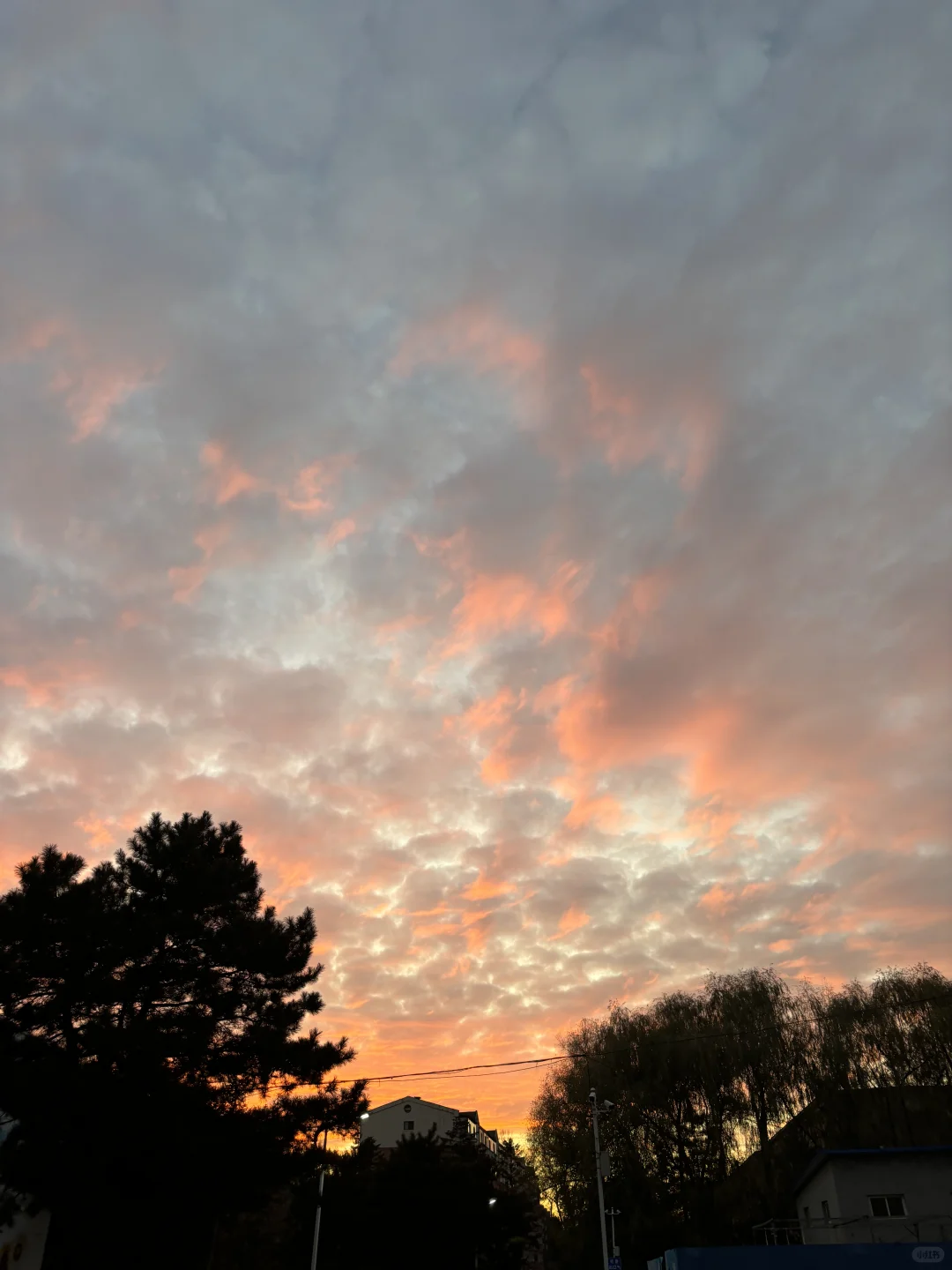 长春有没有165-173的女大啊