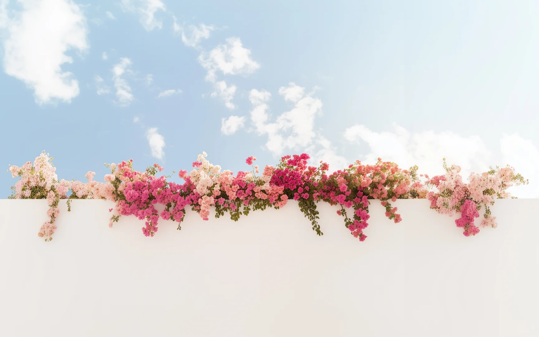 真的不小心删了，永远爱花花天空的壁纸