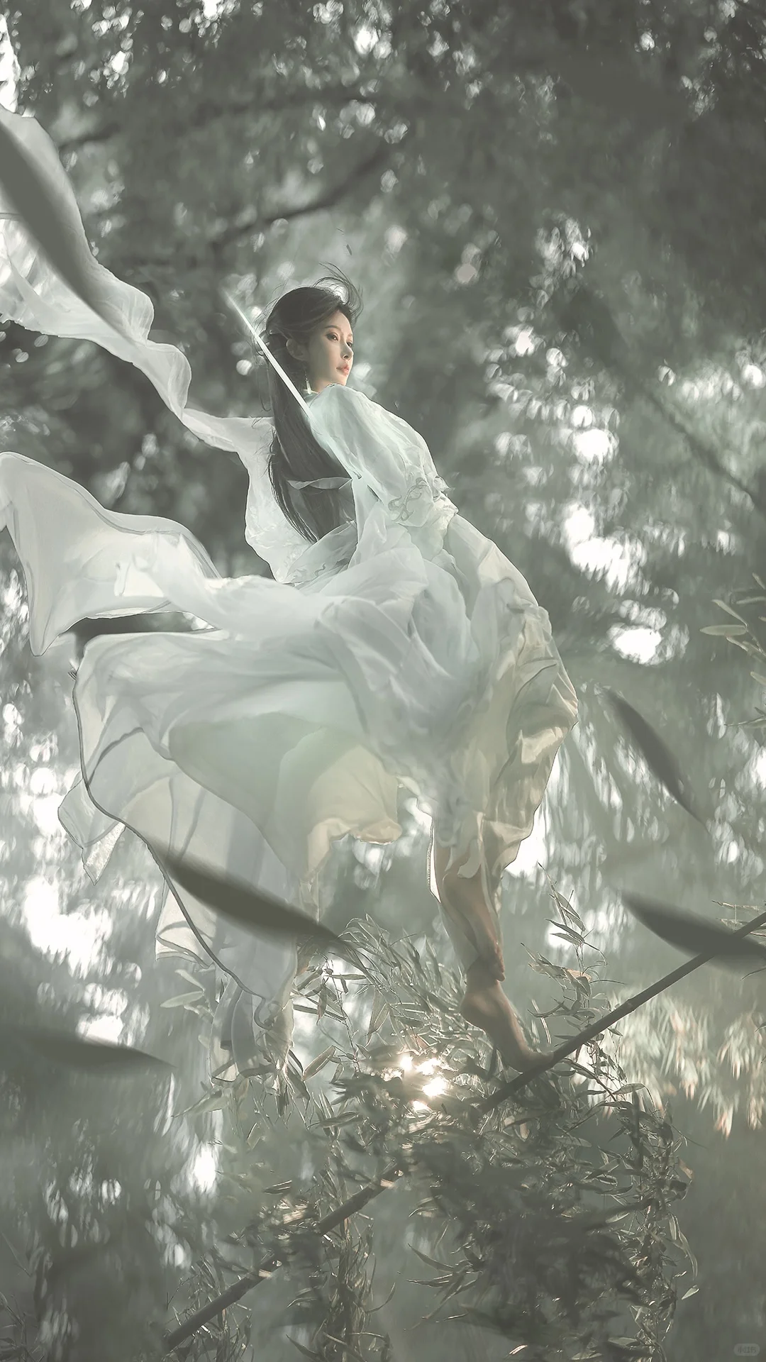 一袭青衣，竹林剑仙