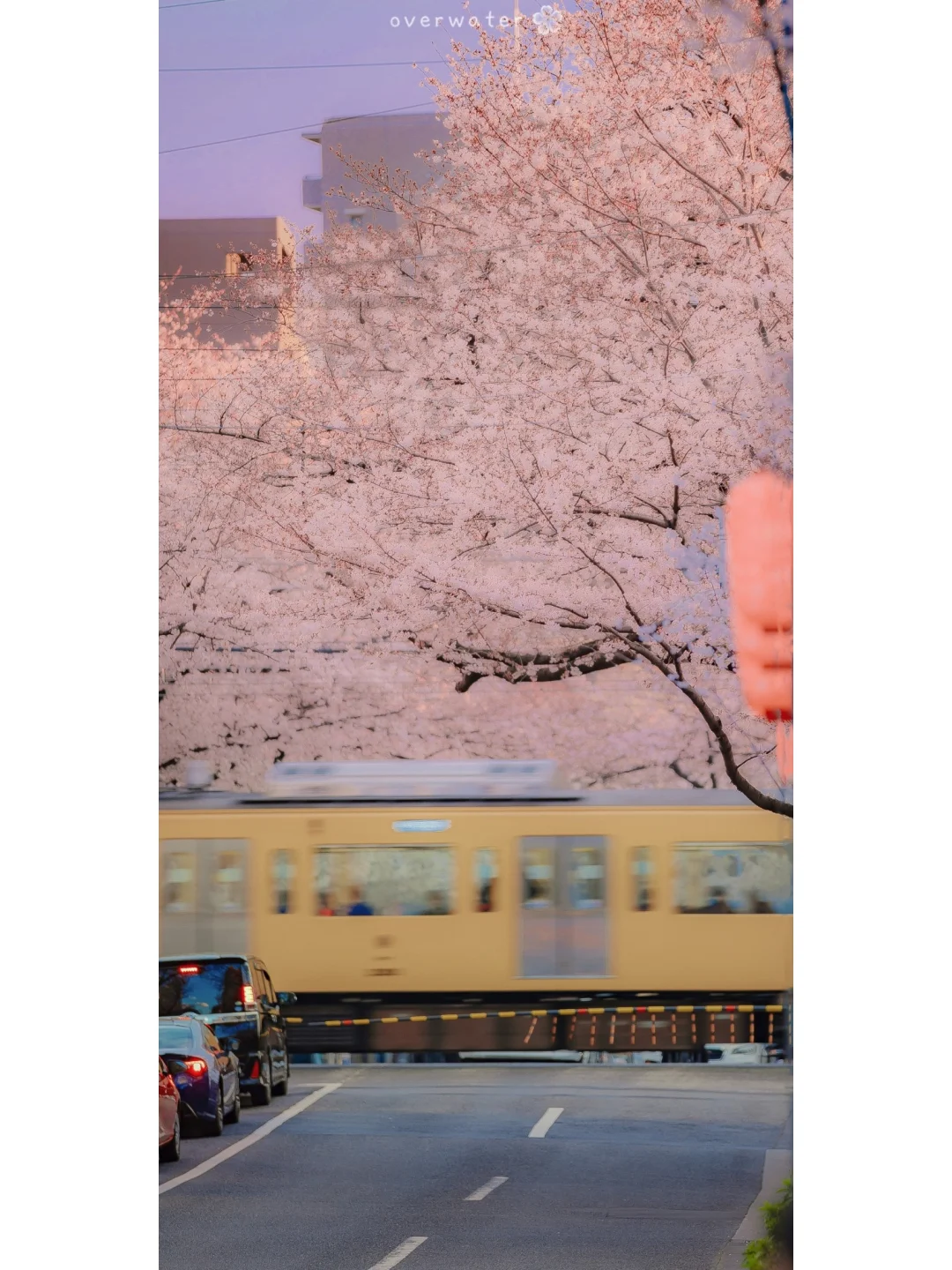 壁纸｜日系唯美静好手机壁纸