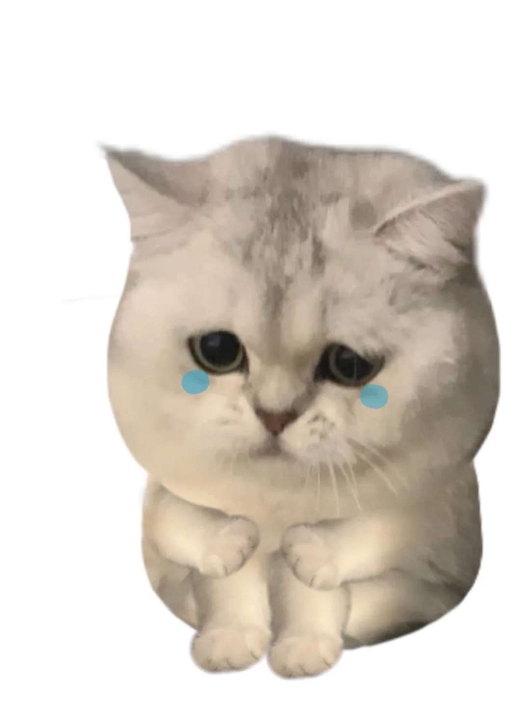 这些表情包用起来命好苦的样子