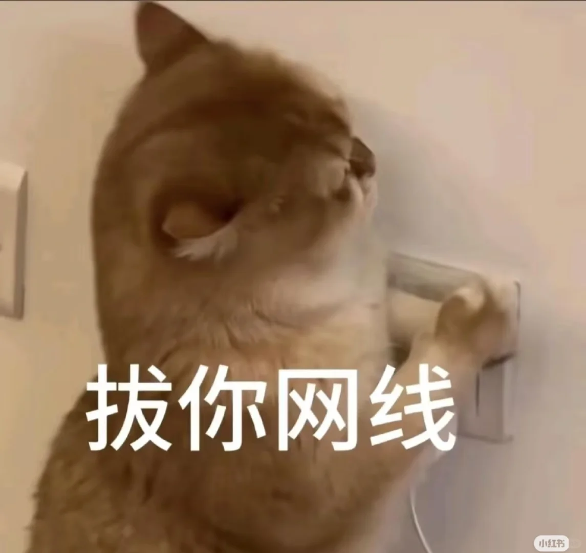 最上头的表情包！