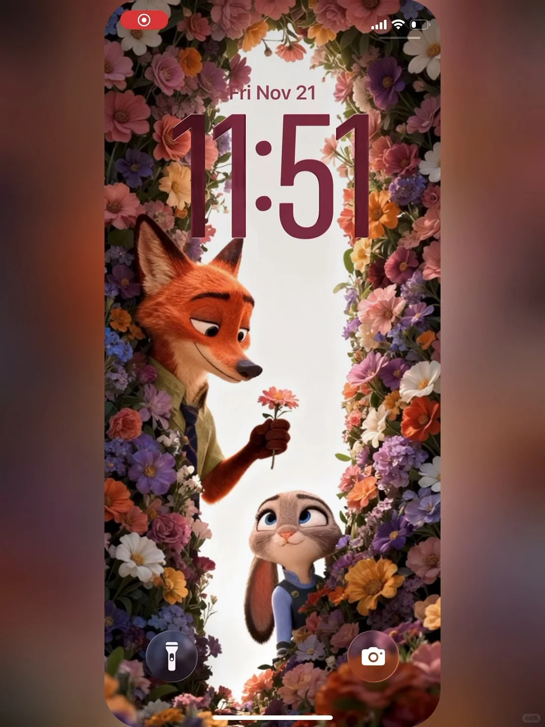 朱迪尼克花海告白｜把浪漫焊在屏幕💐