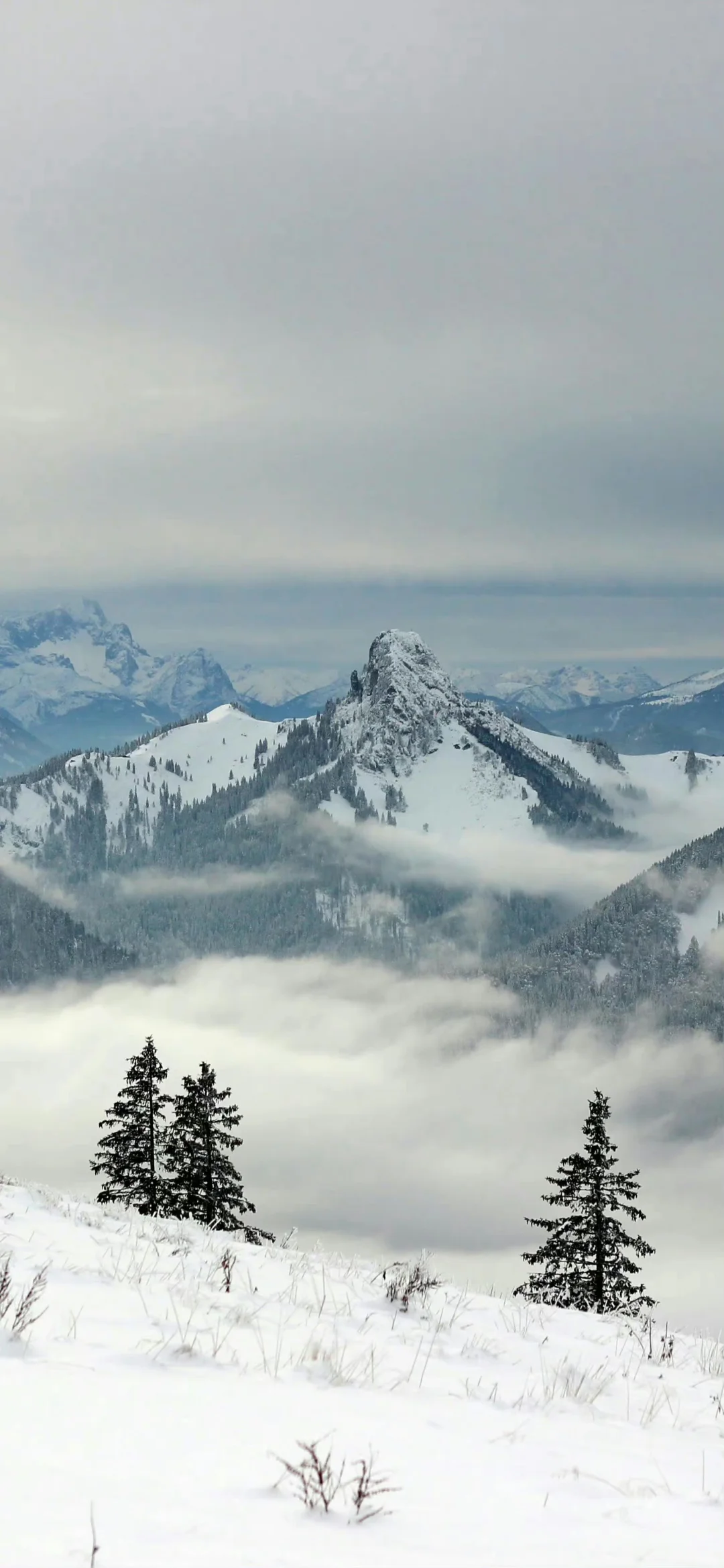一组及其小众的壁纸