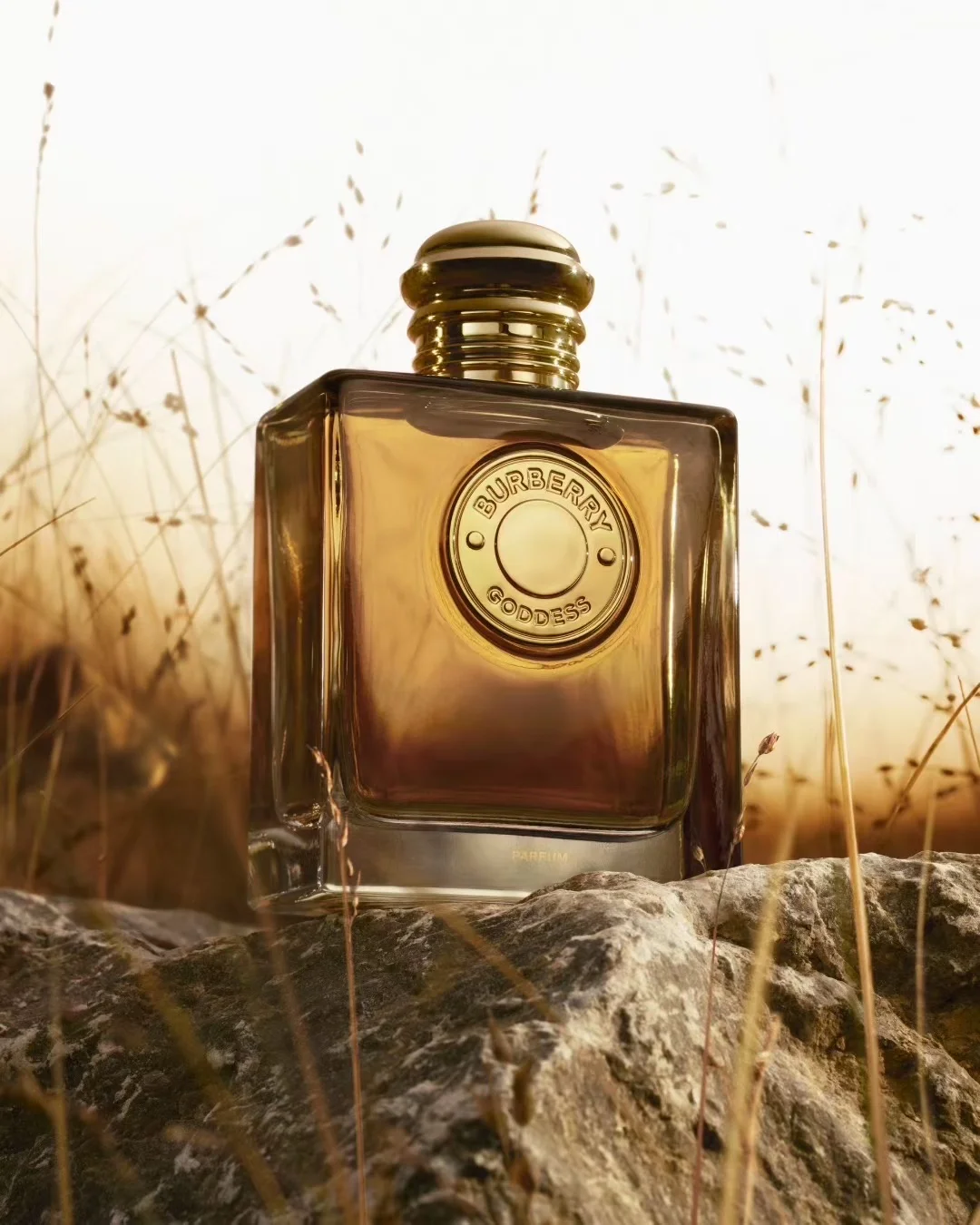 New Work for Burberry Goddess 🧡