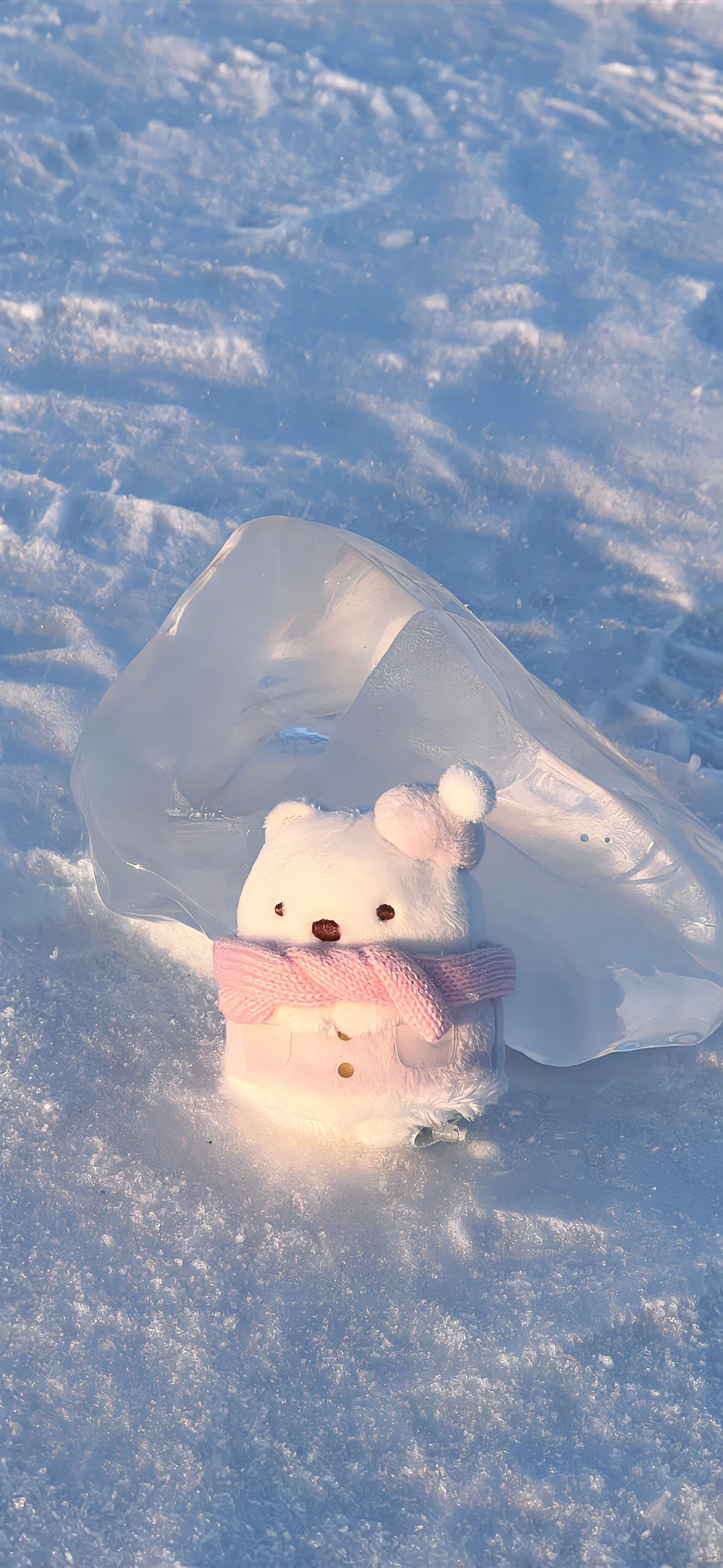 𝐒𝐡𝐚𝐫𝐞丨ins小众壁纸❄️