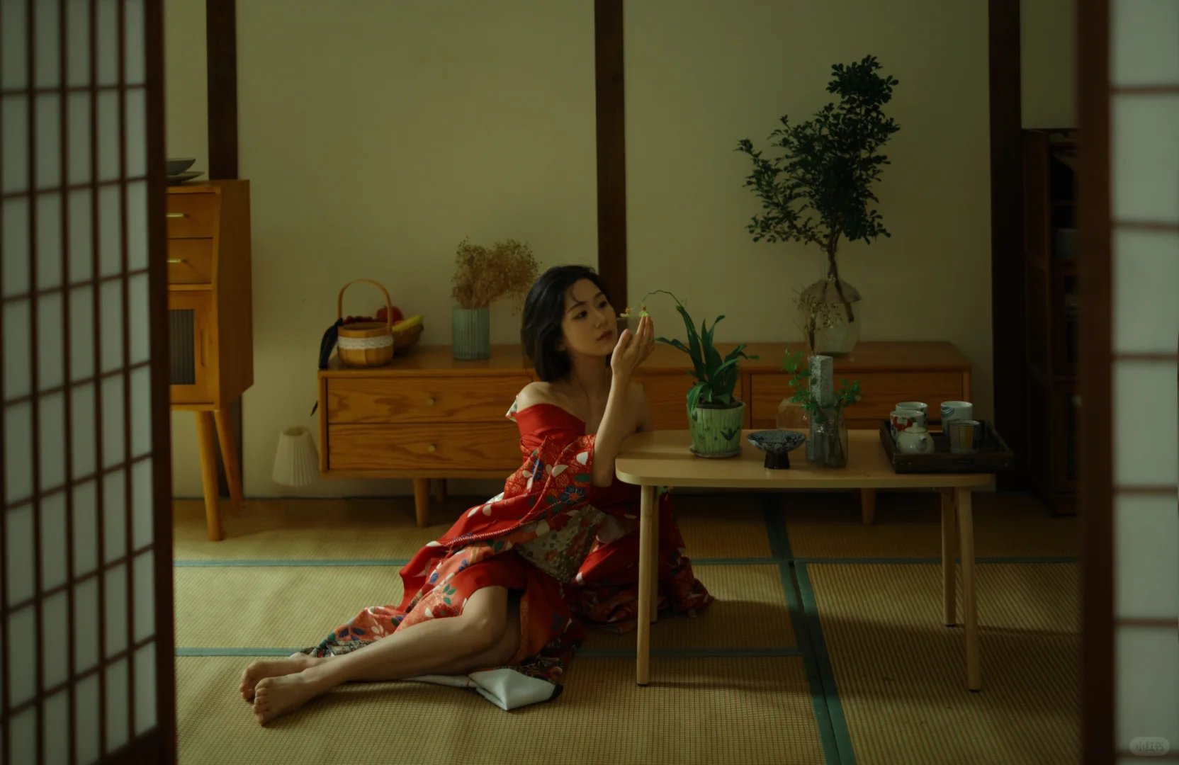 初春里的那个女孩