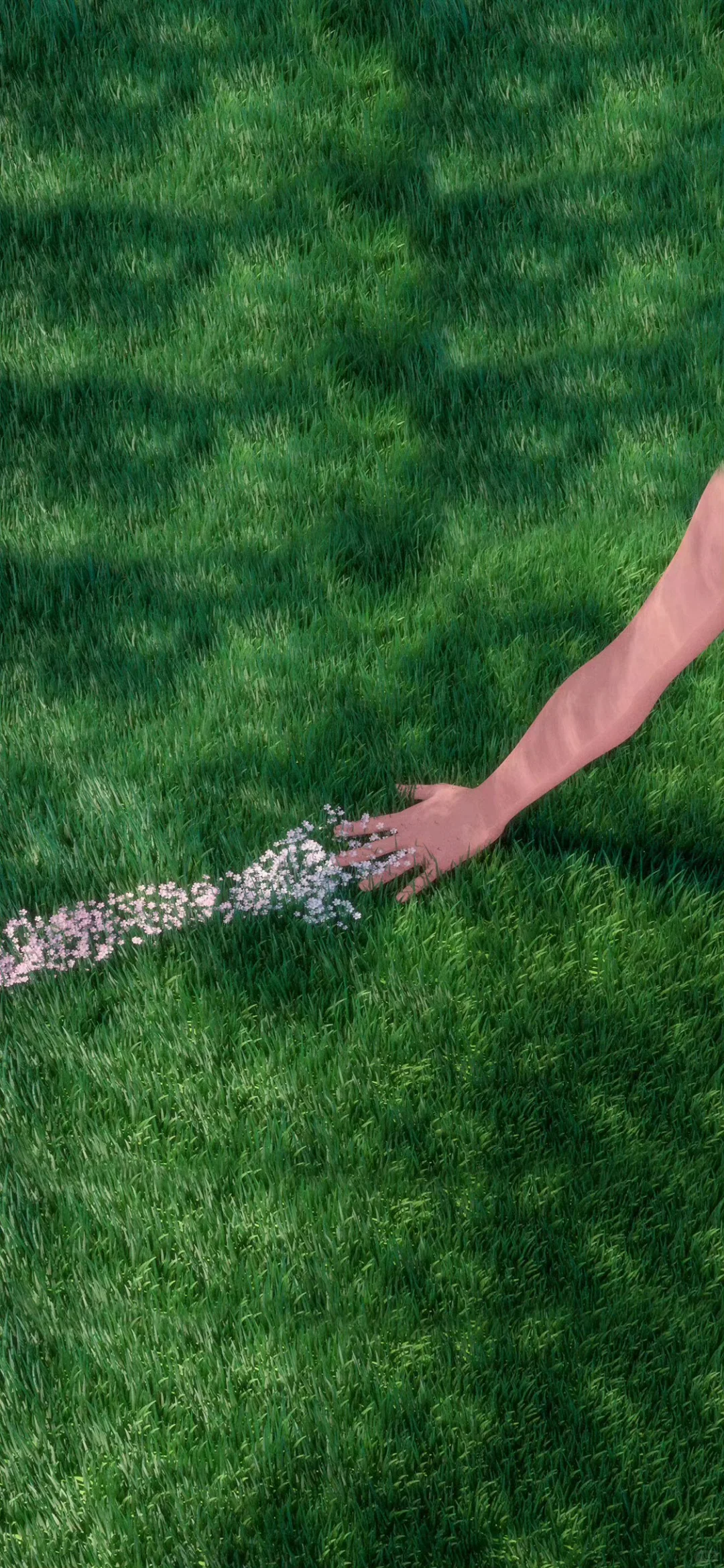 一组及其小众的壁纸