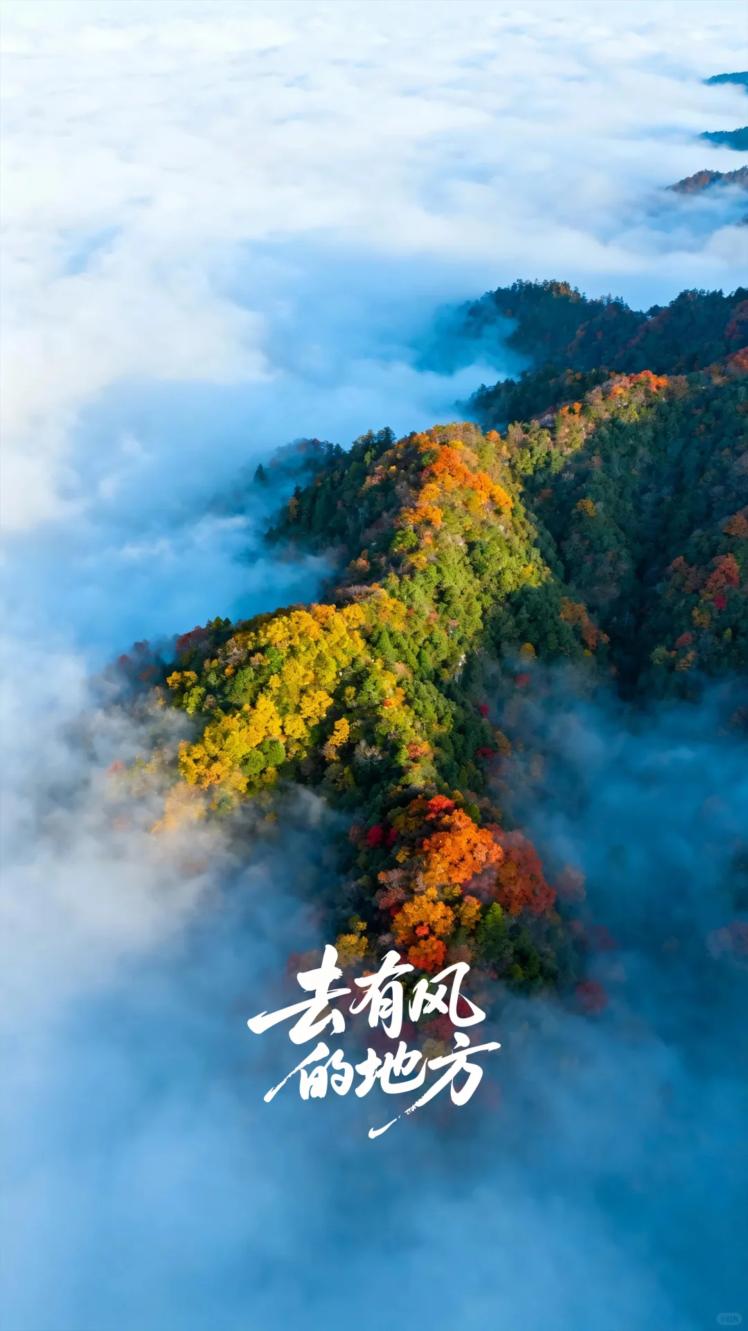 多彩风光与智慧的自然长卷高清壁纸