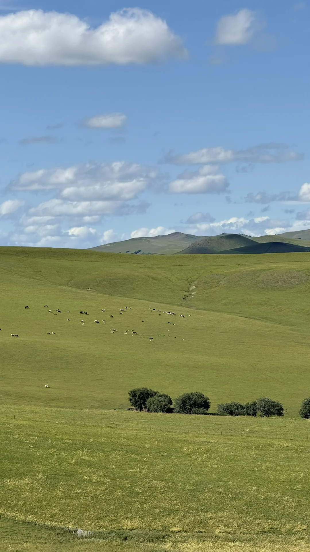 Windows桌面get，牛马牛马～电脑前面你和我～