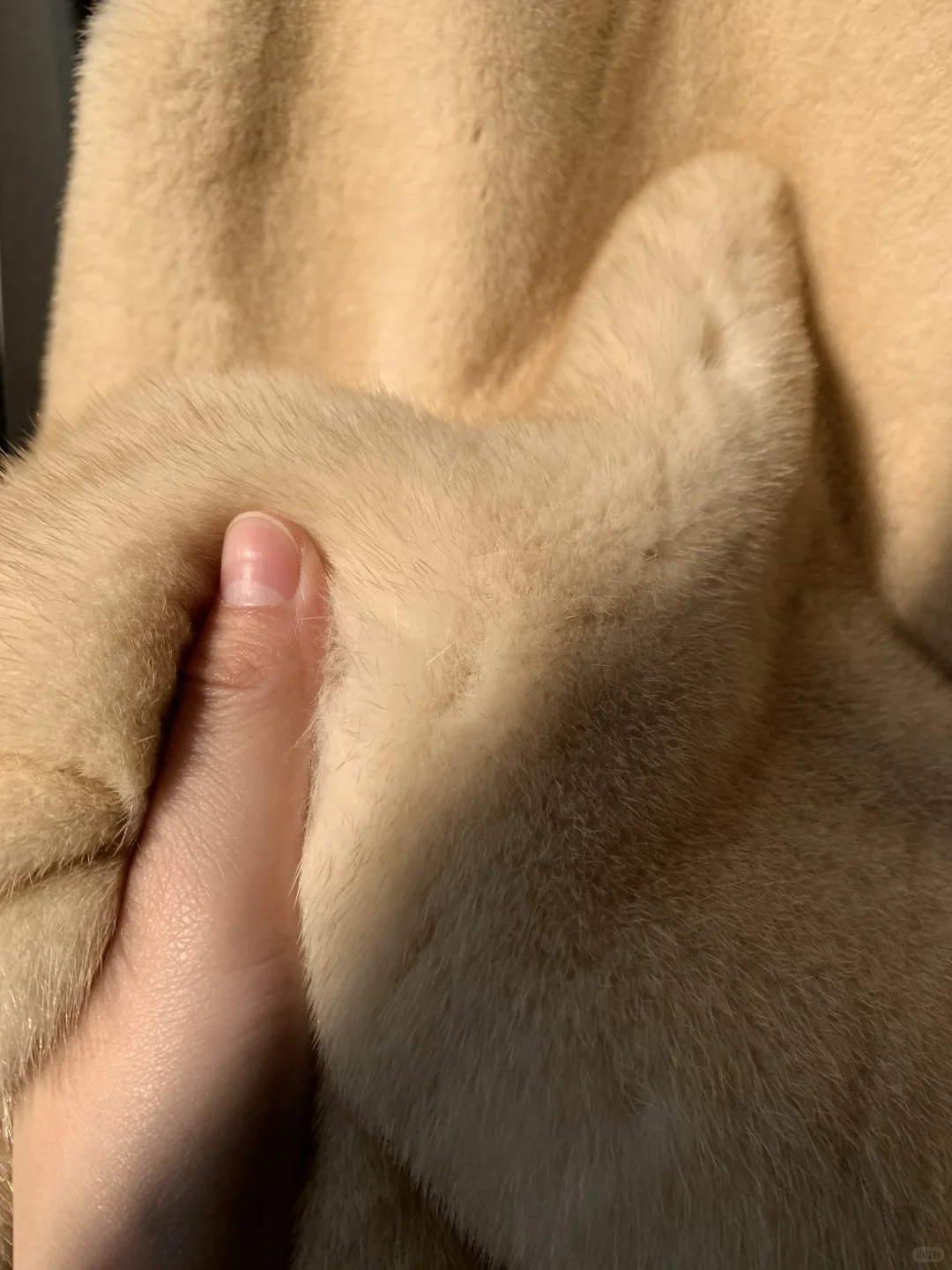 30年梦寐以求的珍宝貂 终于做出来了