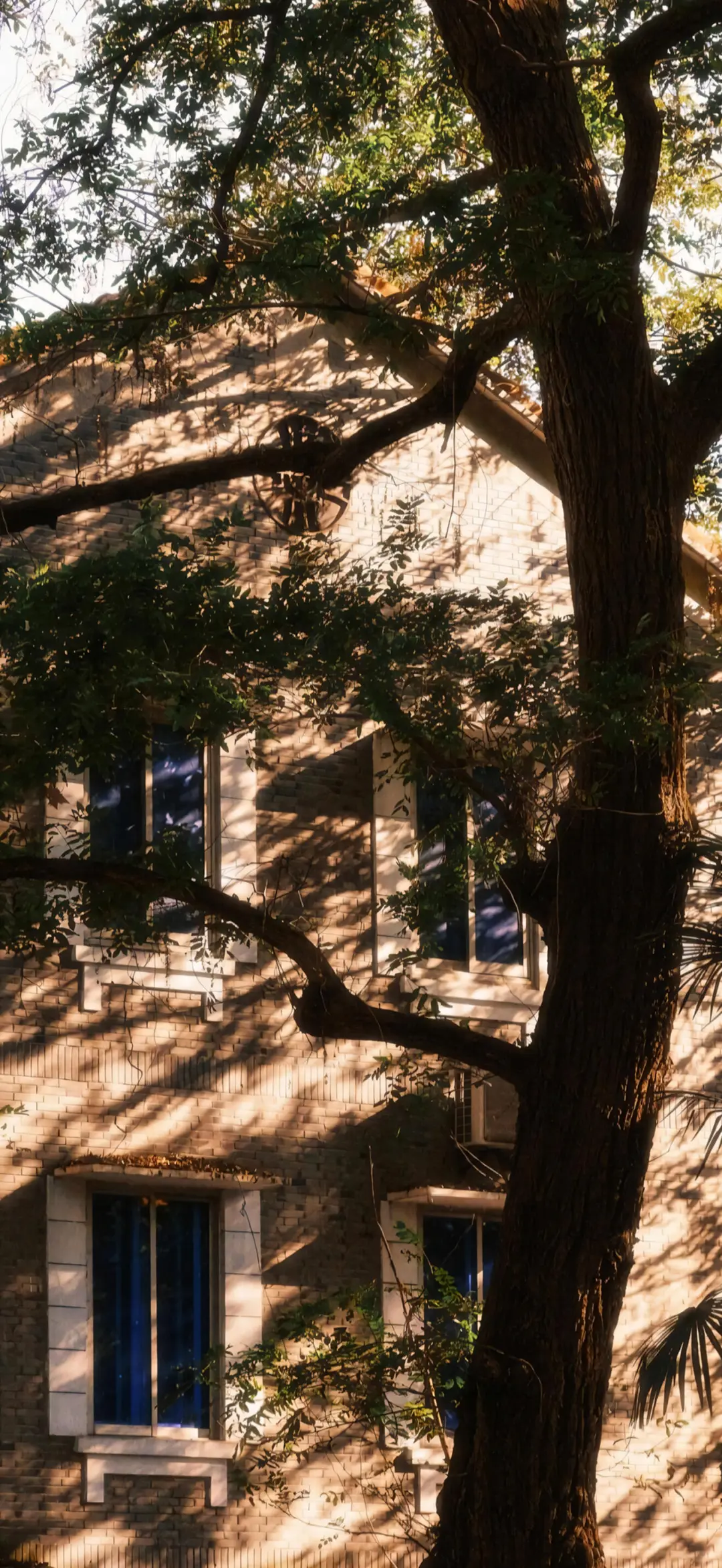 ✨高清壁纸｜背景图 琥珀鎏金