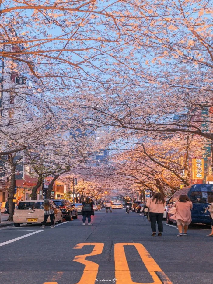 日系壁纸：今天的壁纸被风景包围了！
