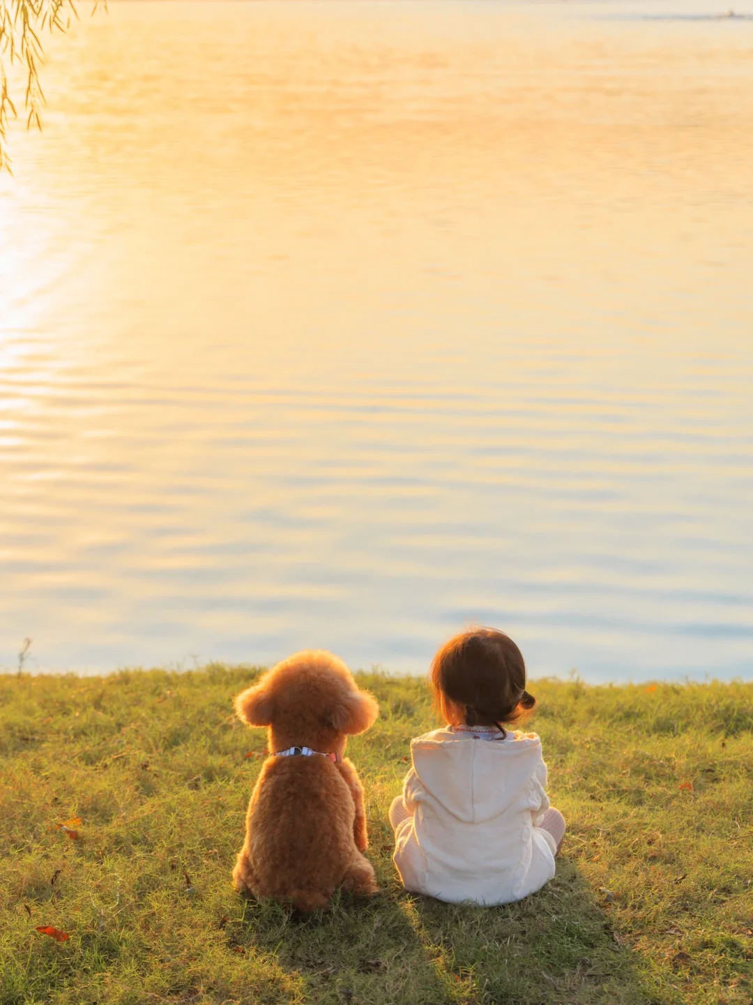 我们一起 看了那么那么多次日落🌅