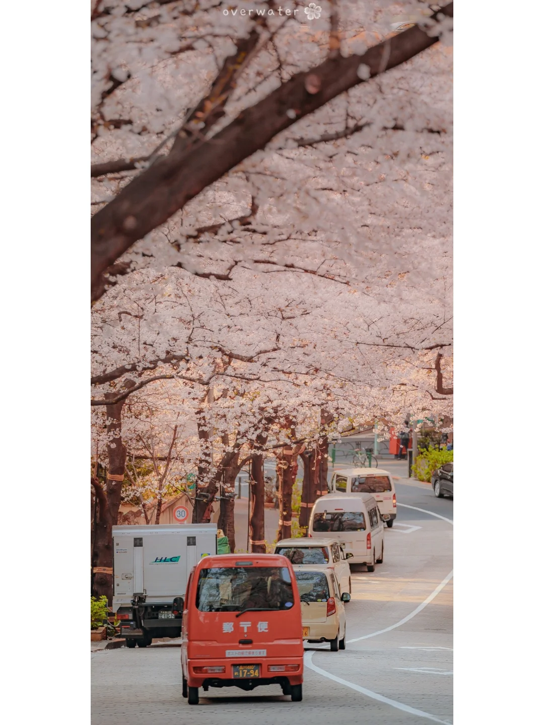 壁纸｜日系唯美静好手机壁纸