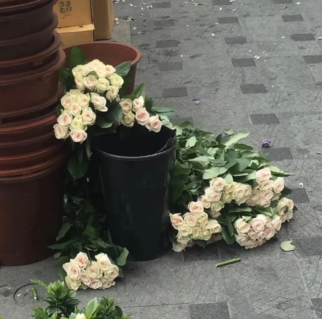 高清无水印壁纸！今日壁纸！日系壁纸！