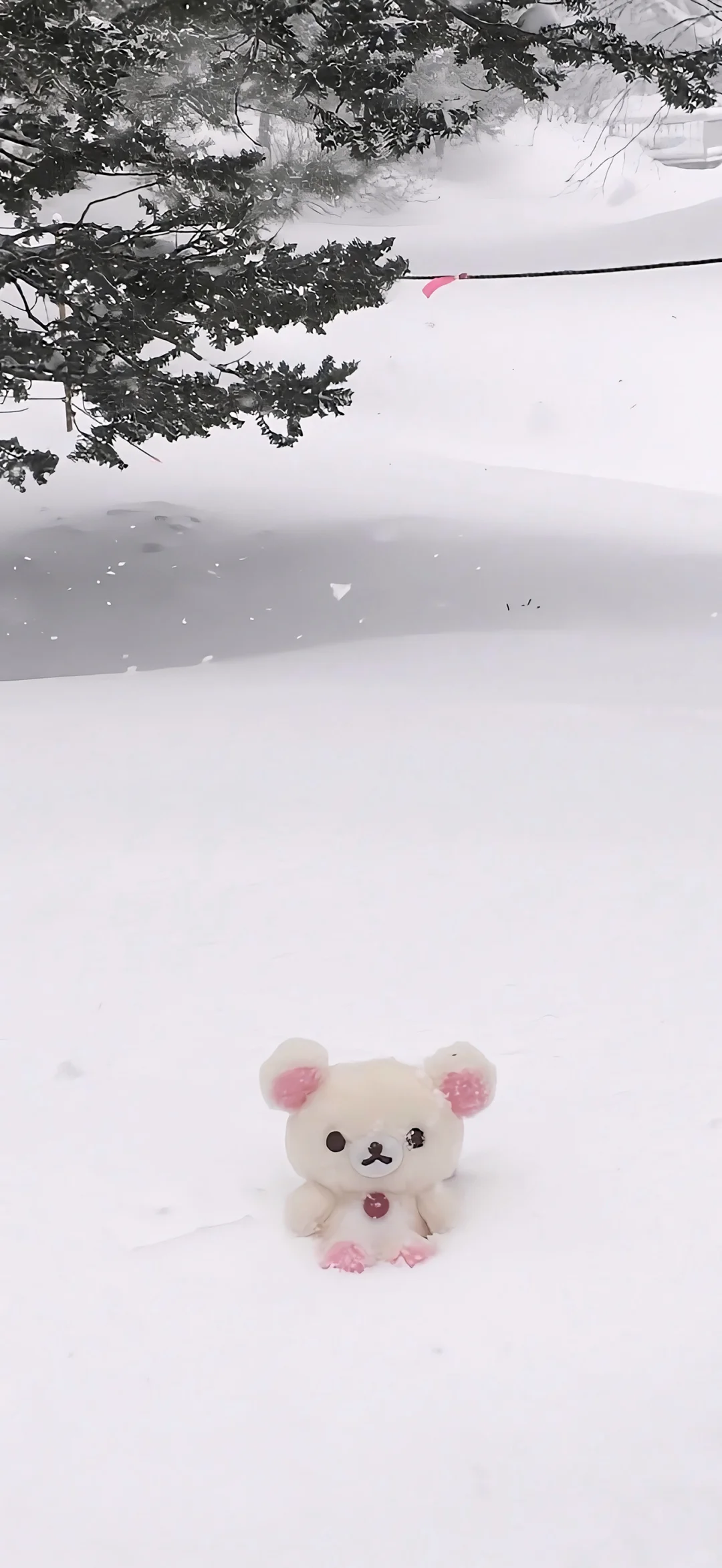 冬日序曲·氛围感壁纸