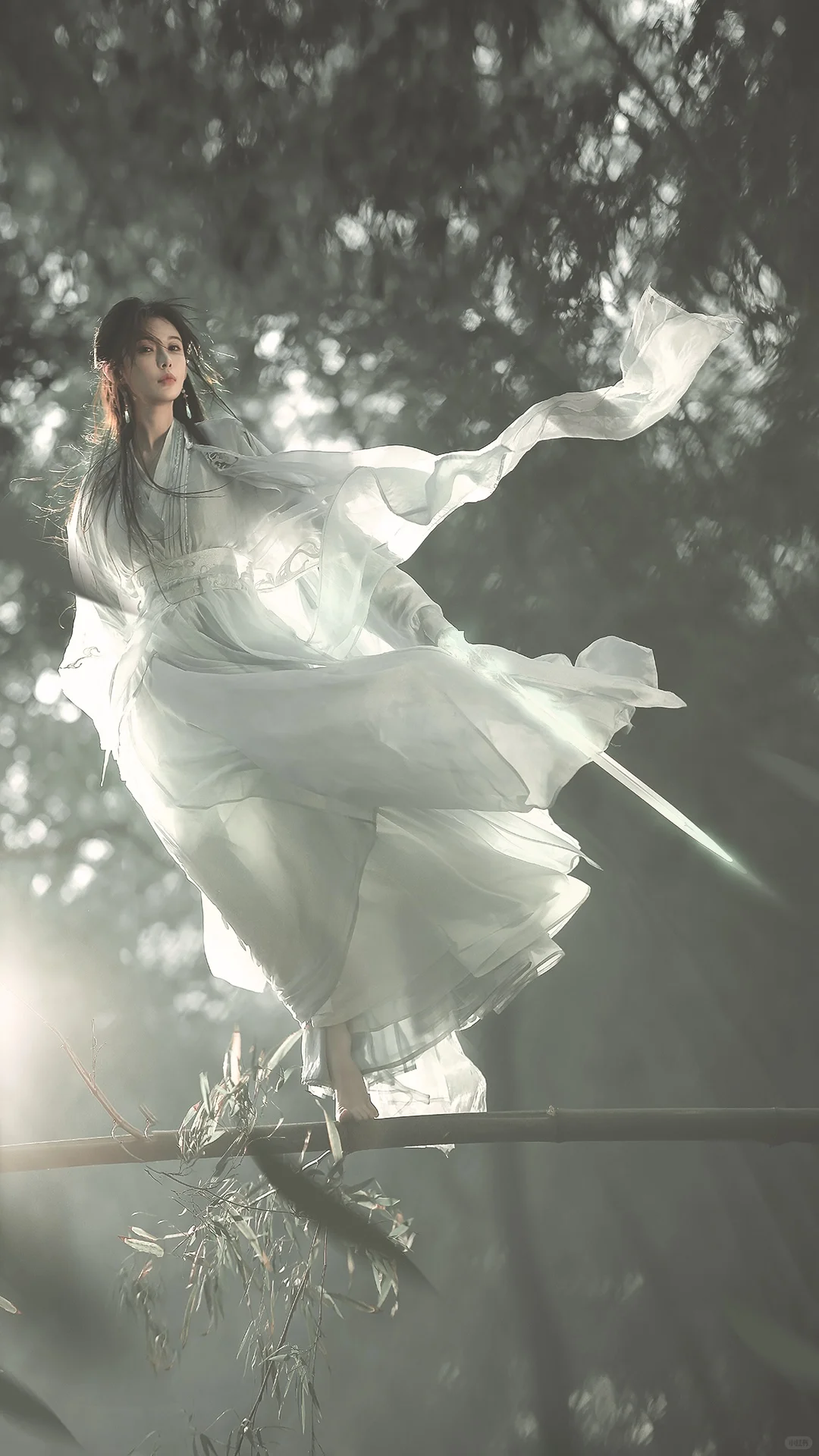 一袭青衣，竹林剑仙