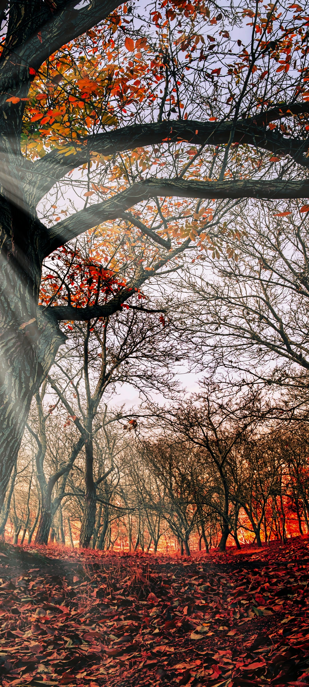 今日壁纸丨小众高质量美景壁纸