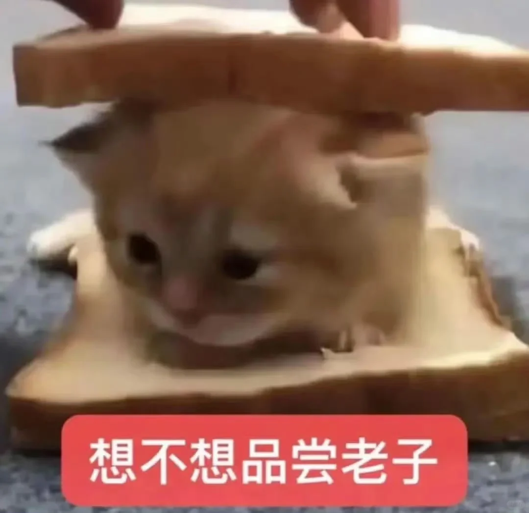低脂小猫表情包2.0