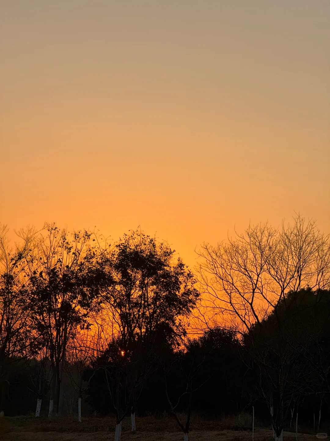 161 88 瘦而不柴是我应得的