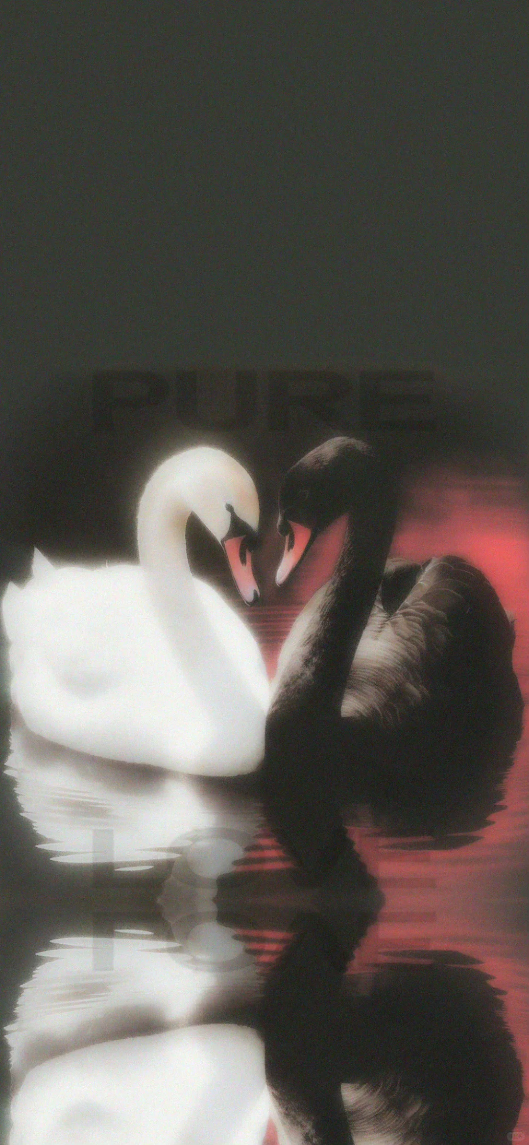 一组及其小众的壁纸