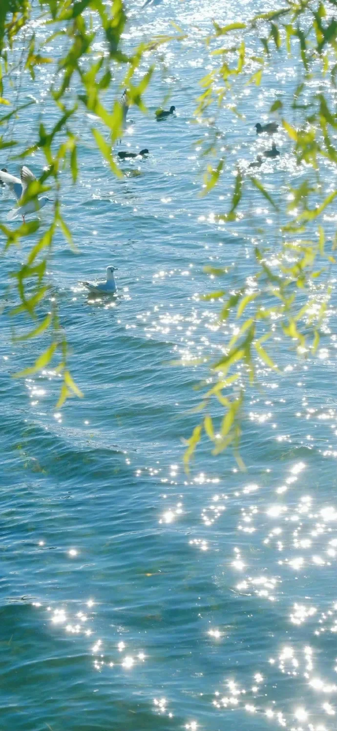 ʚ ·𝐒𝐡𝐚𝐫𝐞 锁屏壁纸