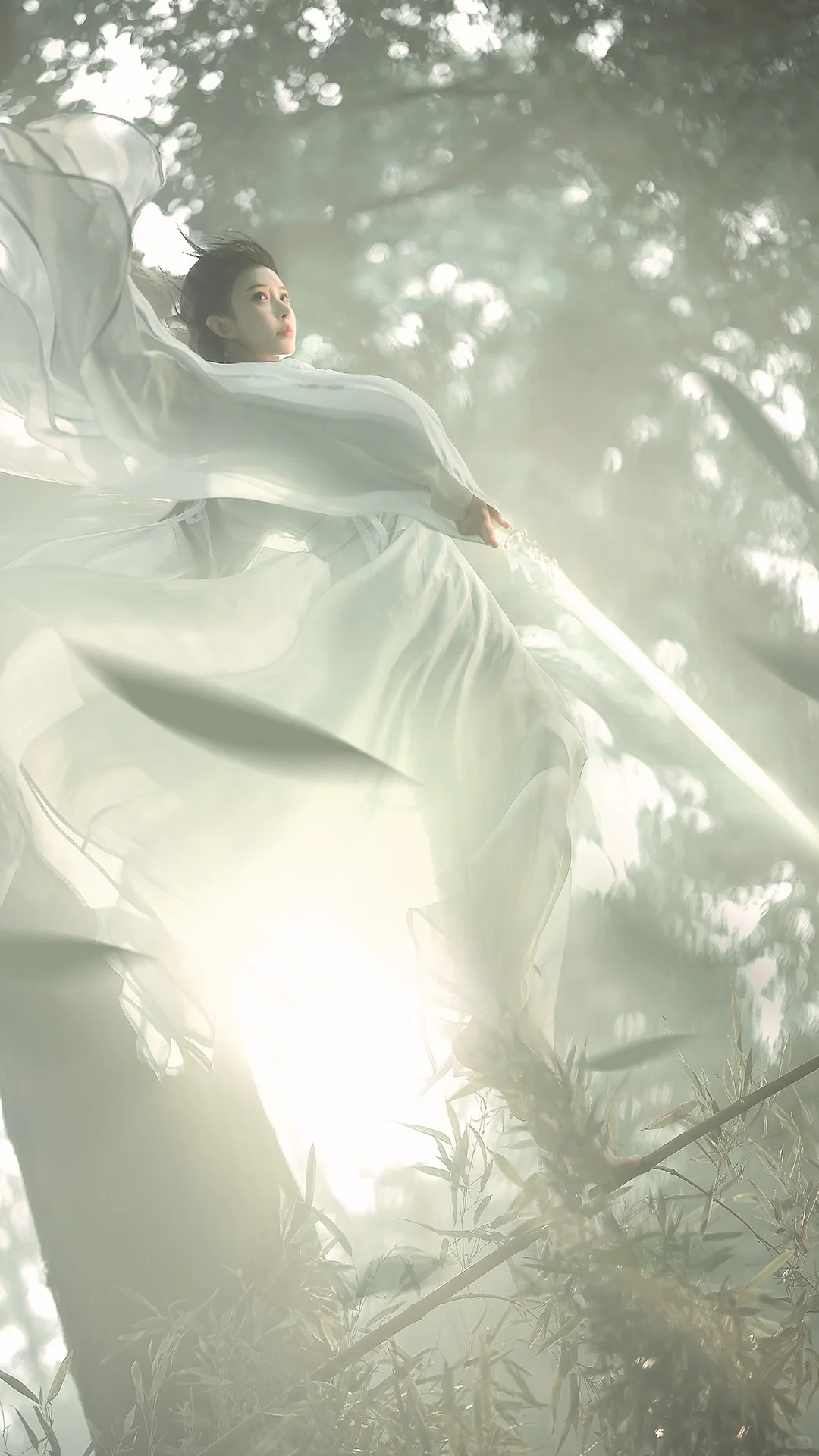 一袭青衣，竹林剑仙