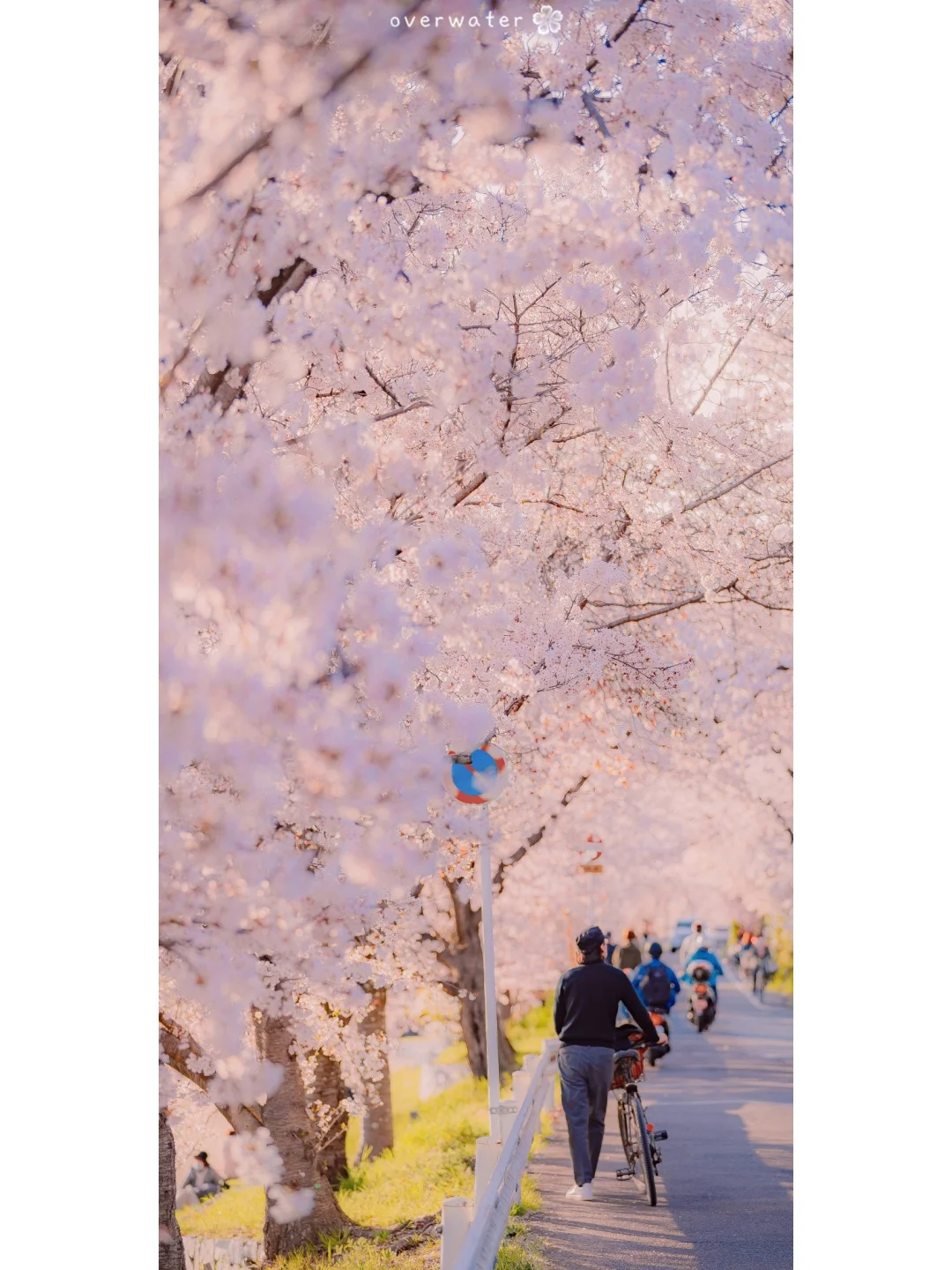 壁纸｜日系唯美静好手机壁纸