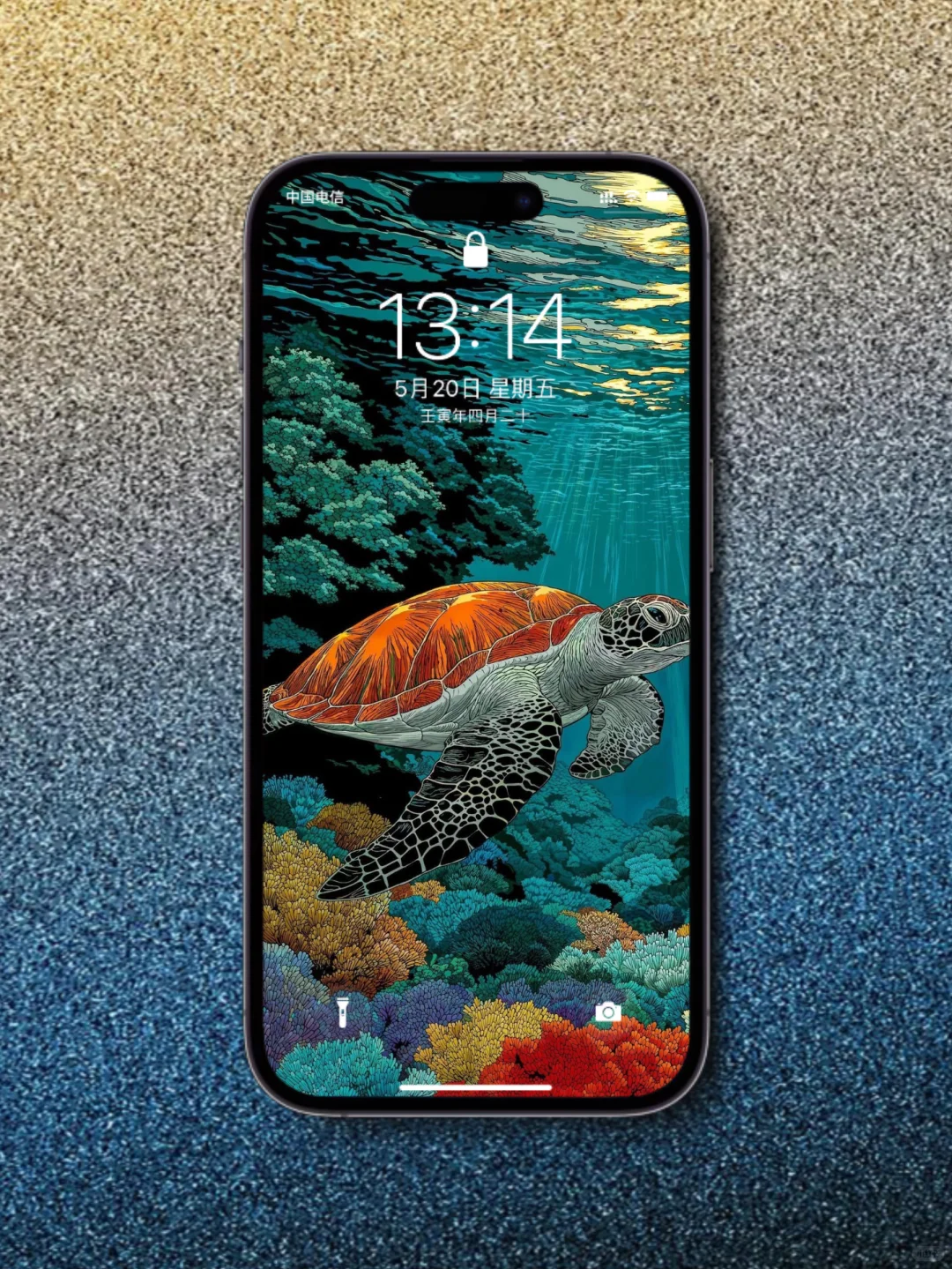 手机壁纸｜ 海龟壁纸