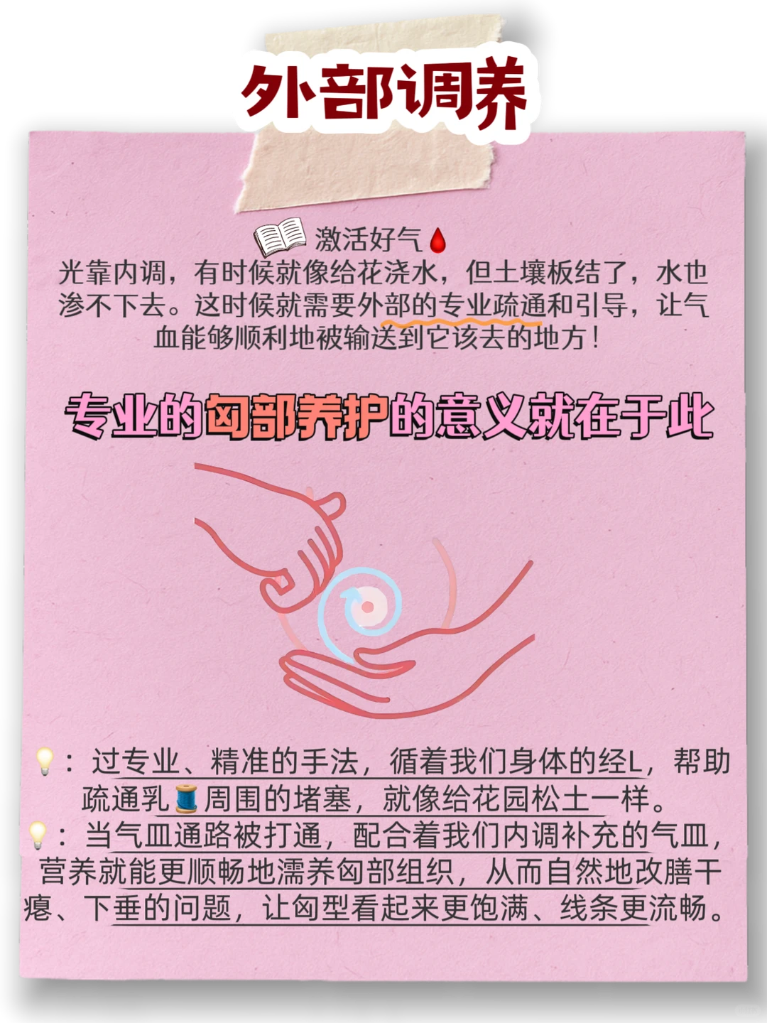 女生必看｜想养匈，先养你的气皿