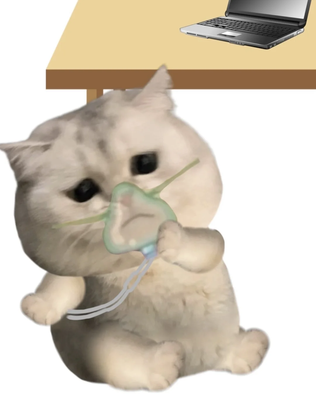 这些表情包用起来命好苦的样子