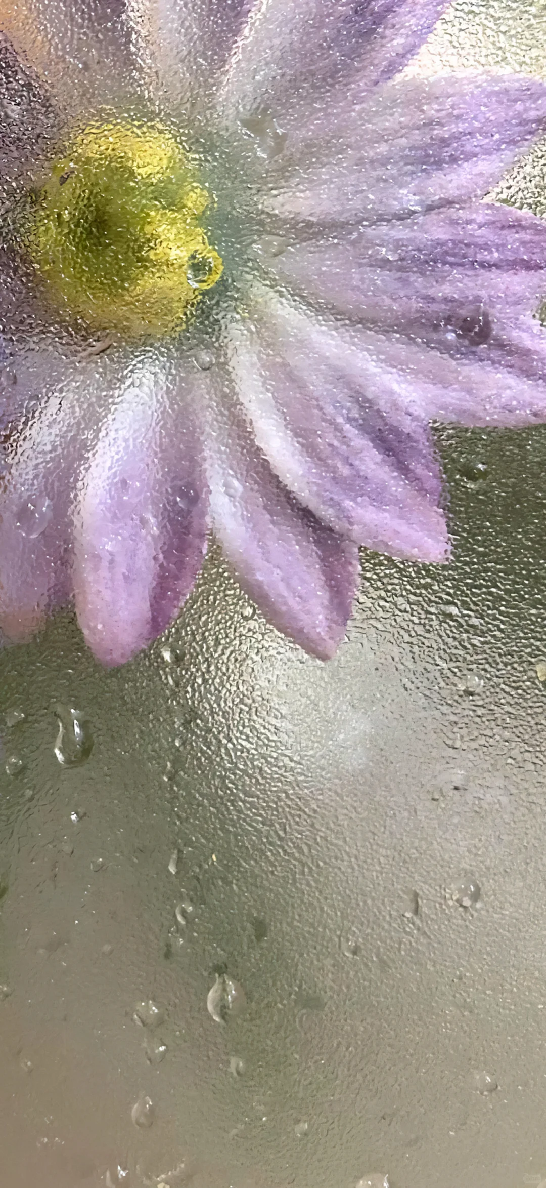 最喜欢的壁纸｜最美壁纸251121