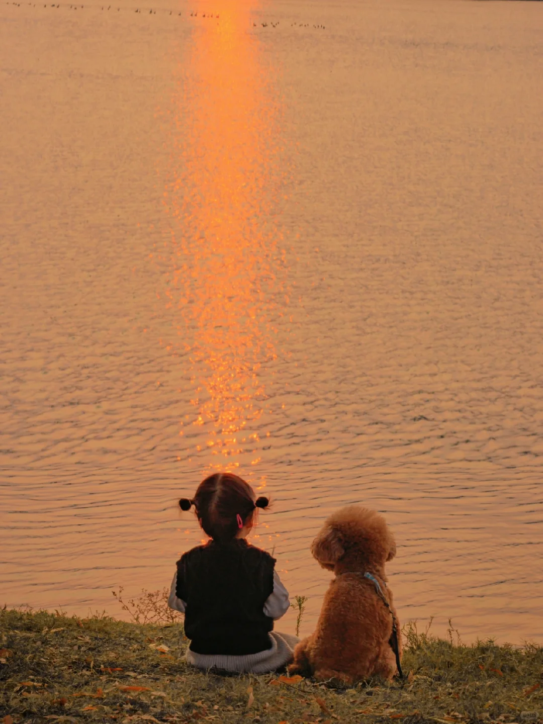 我们一起 看了那么那么多次日落🌅