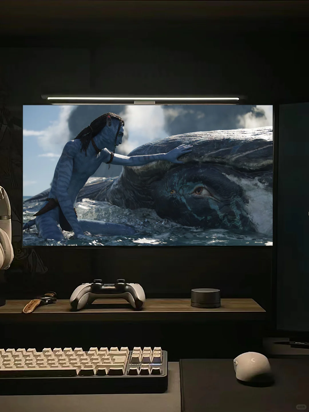 阿凡达超清画质