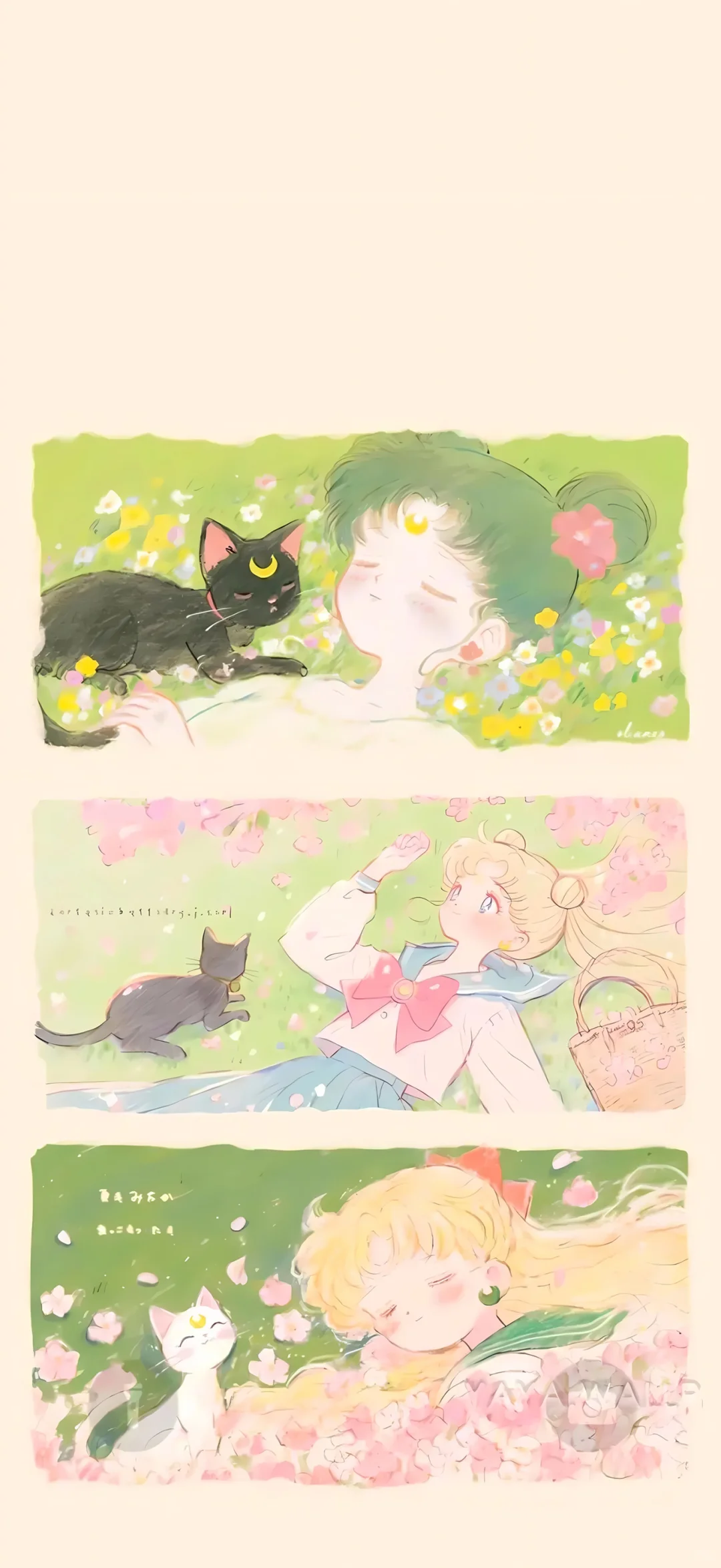 Sailor Moon 美少女战士壁纸