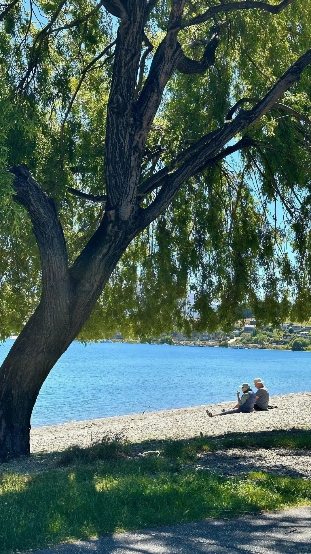护眼壁纸｜是旷野，是自由🍊
