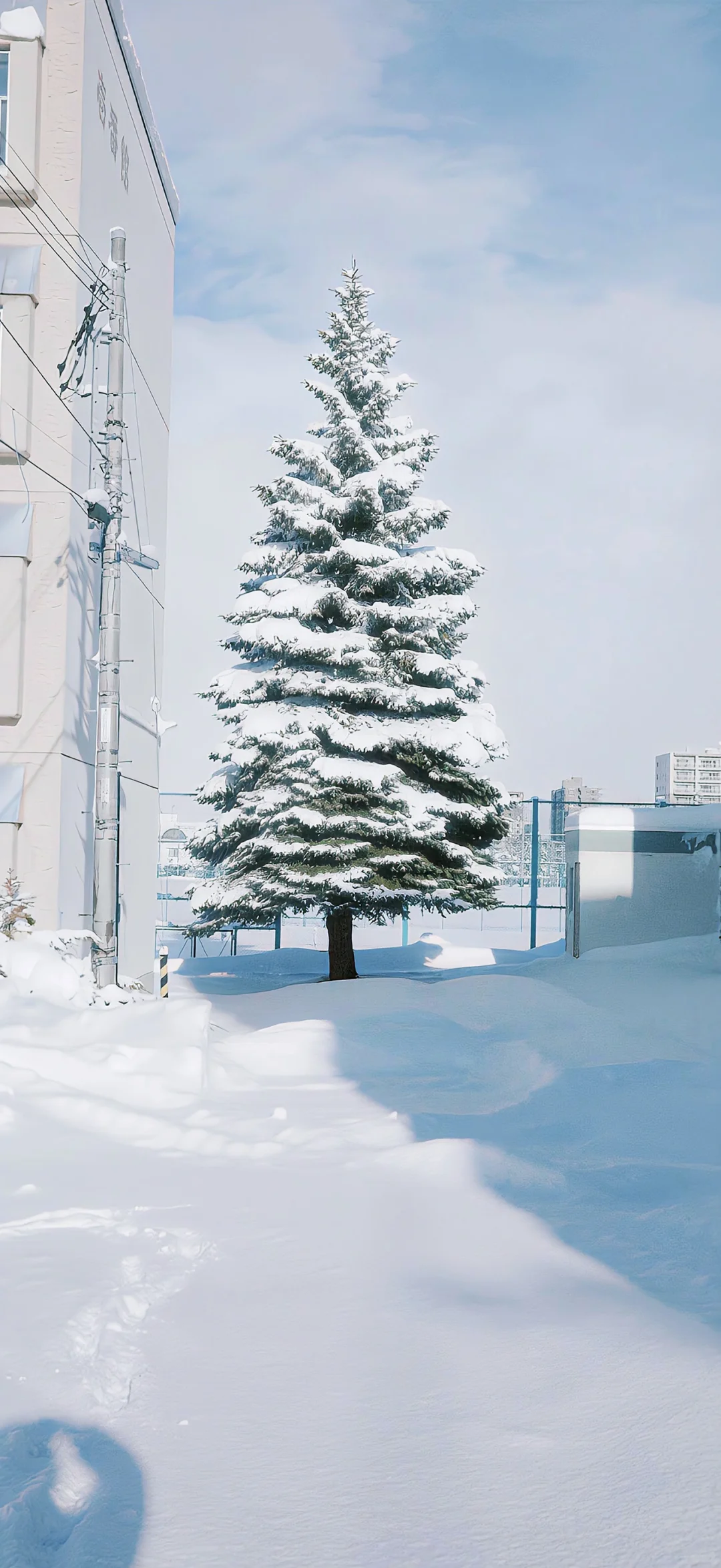 冬日序曲·氛围感壁纸