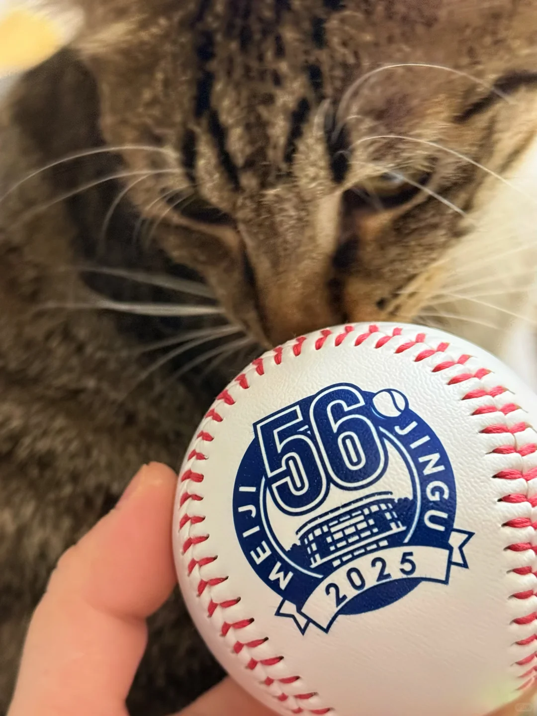 天使老师把我的命也立住了😭😭😭