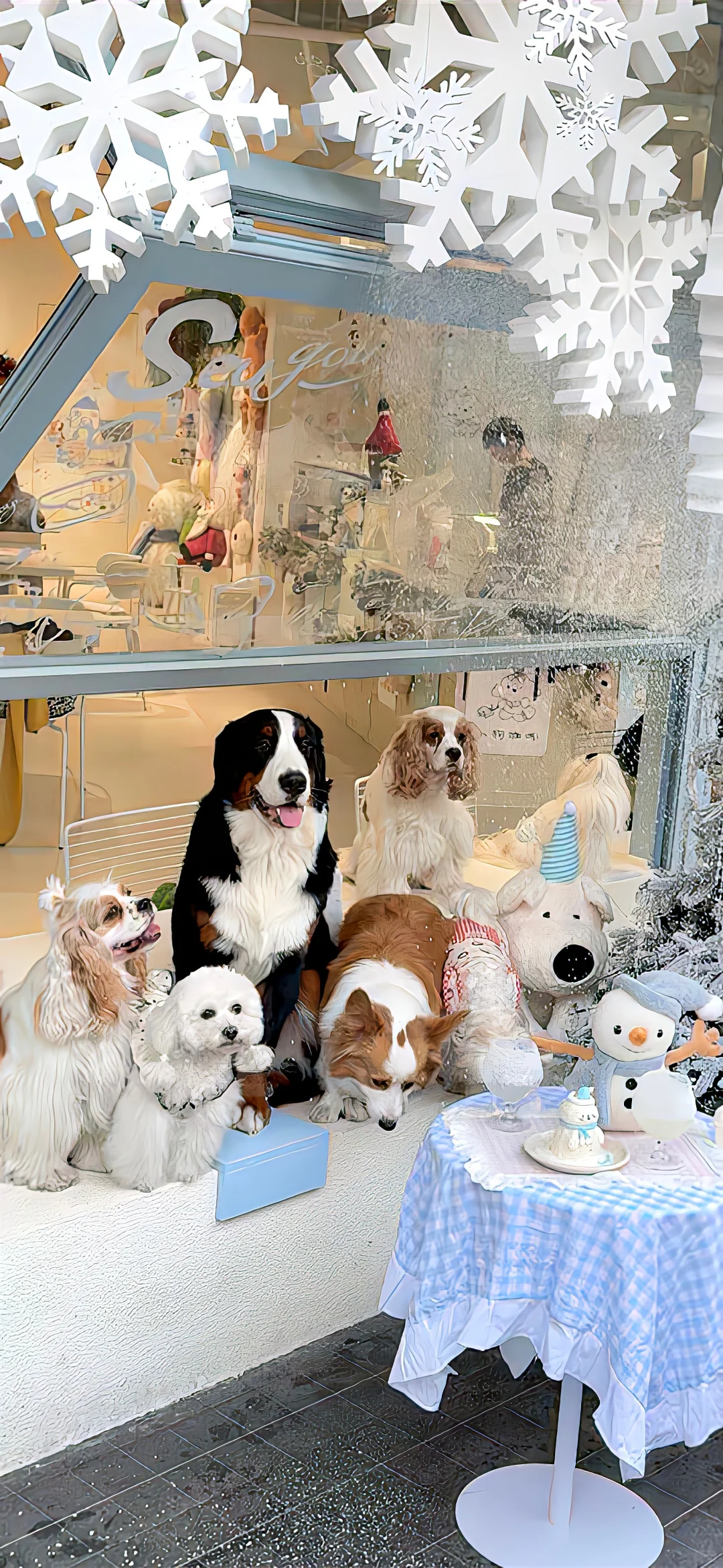 𝐒𝐡𝐚𝐫𝐞丨ins小众壁纸❄️