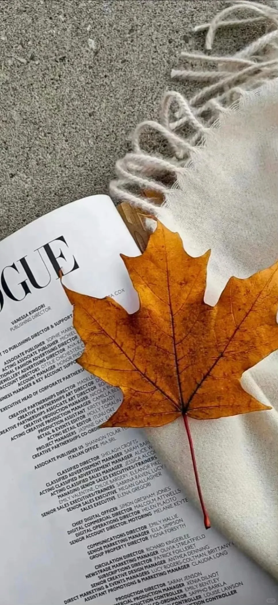 share🍥|秋冬壁纸⊹✮₊⋆