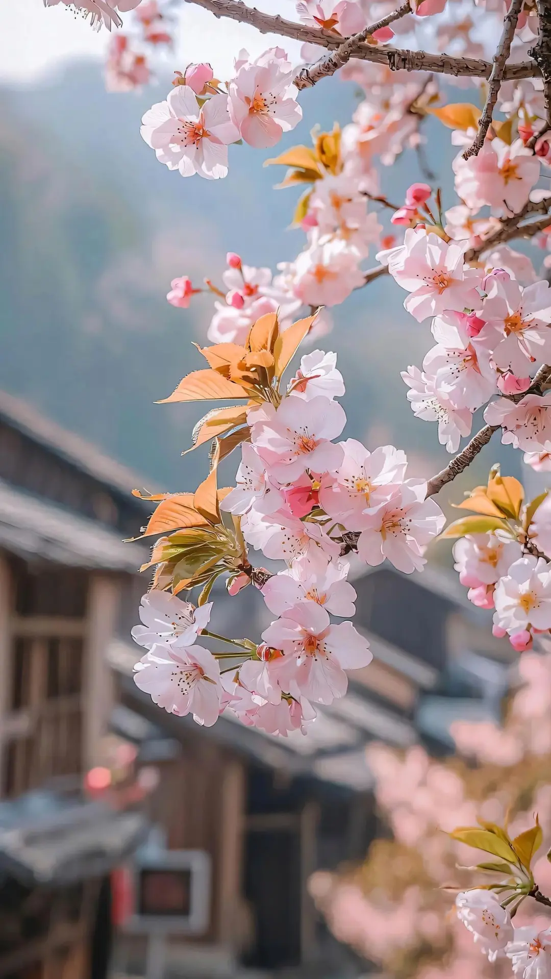 春有约 花不误 | 鲜花空间景深壁纸 54张
