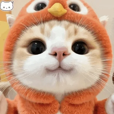 人 晚上嚎～ 你在干森莫🐱